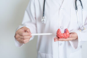 profissional segurando uma tireoide meramente ilustrativa para representar a endocrinologia